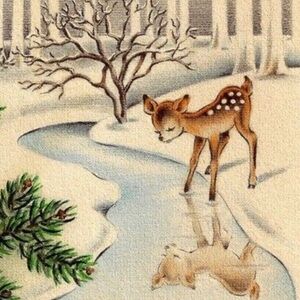 Meet your Posher, Caty J